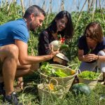 Farm table food feast blooming trend six ways