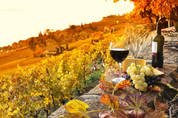 Spokane vineyards wineries Spokane vineyards wineries